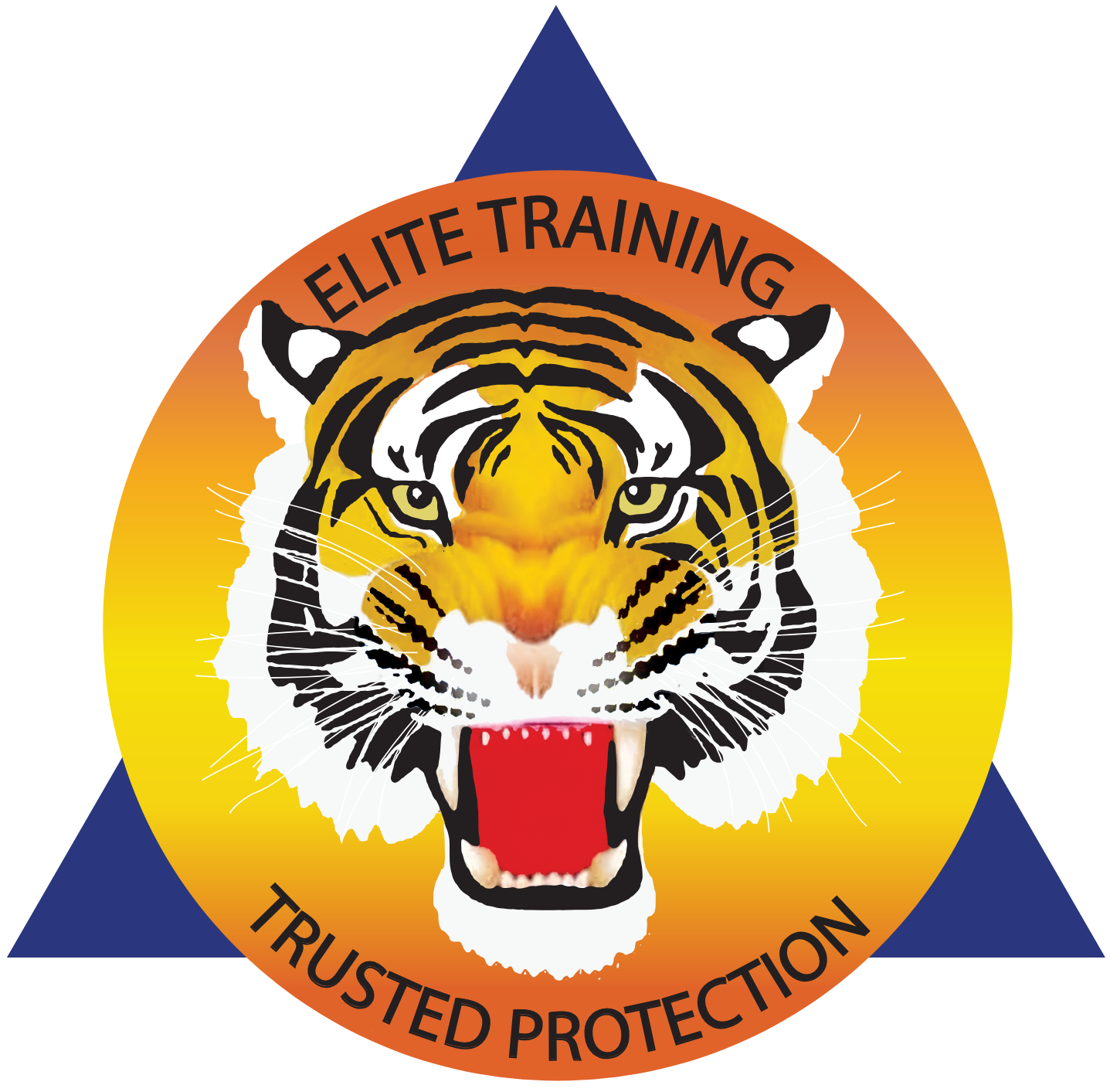 Tiger Force Security Sdn. Bhd.