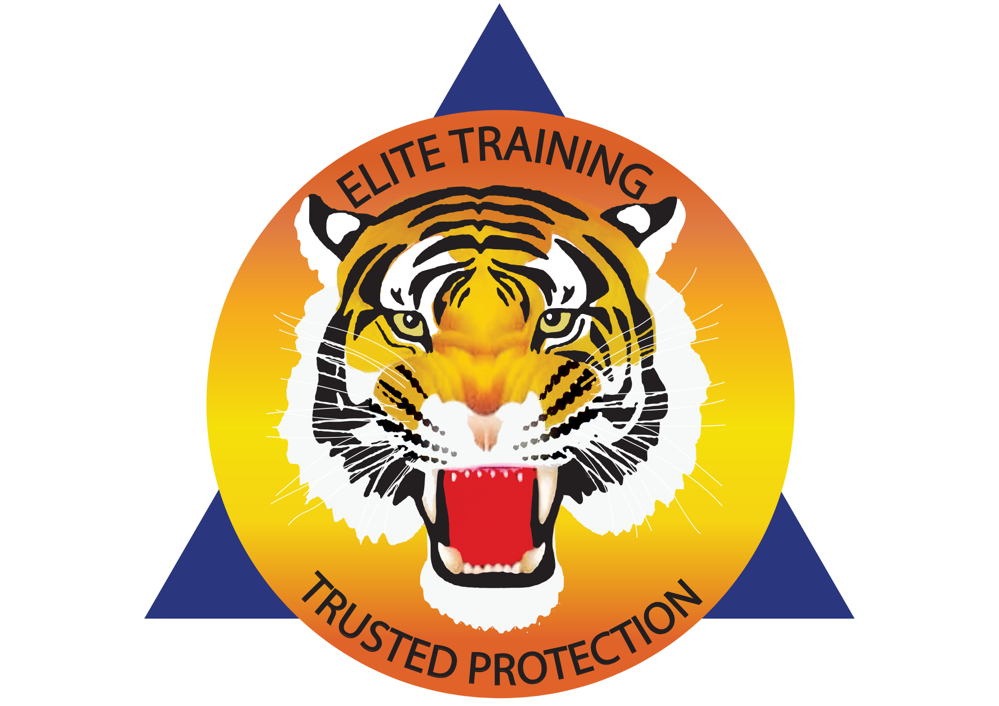 Tiger Force Security Sdn. Bhd.